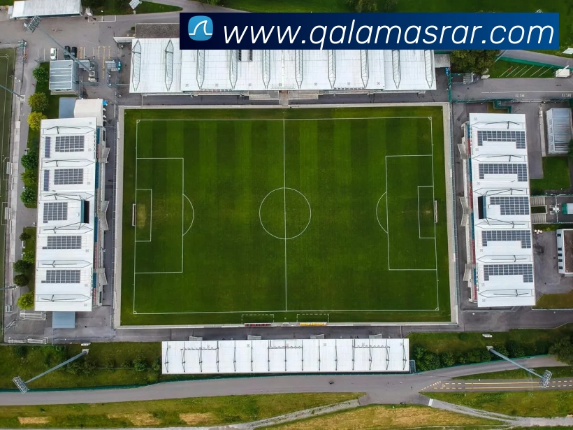 广东麻将算分规则平台生态图